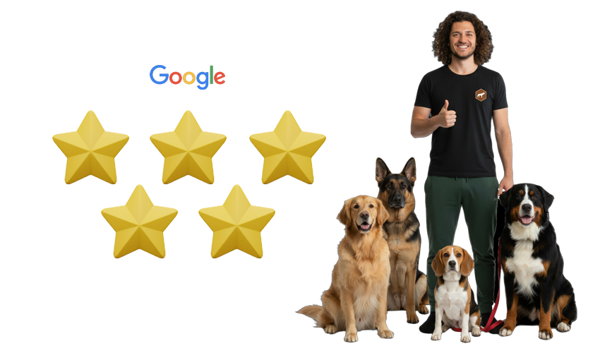 Reviews van Difficult Dogs staan op Google