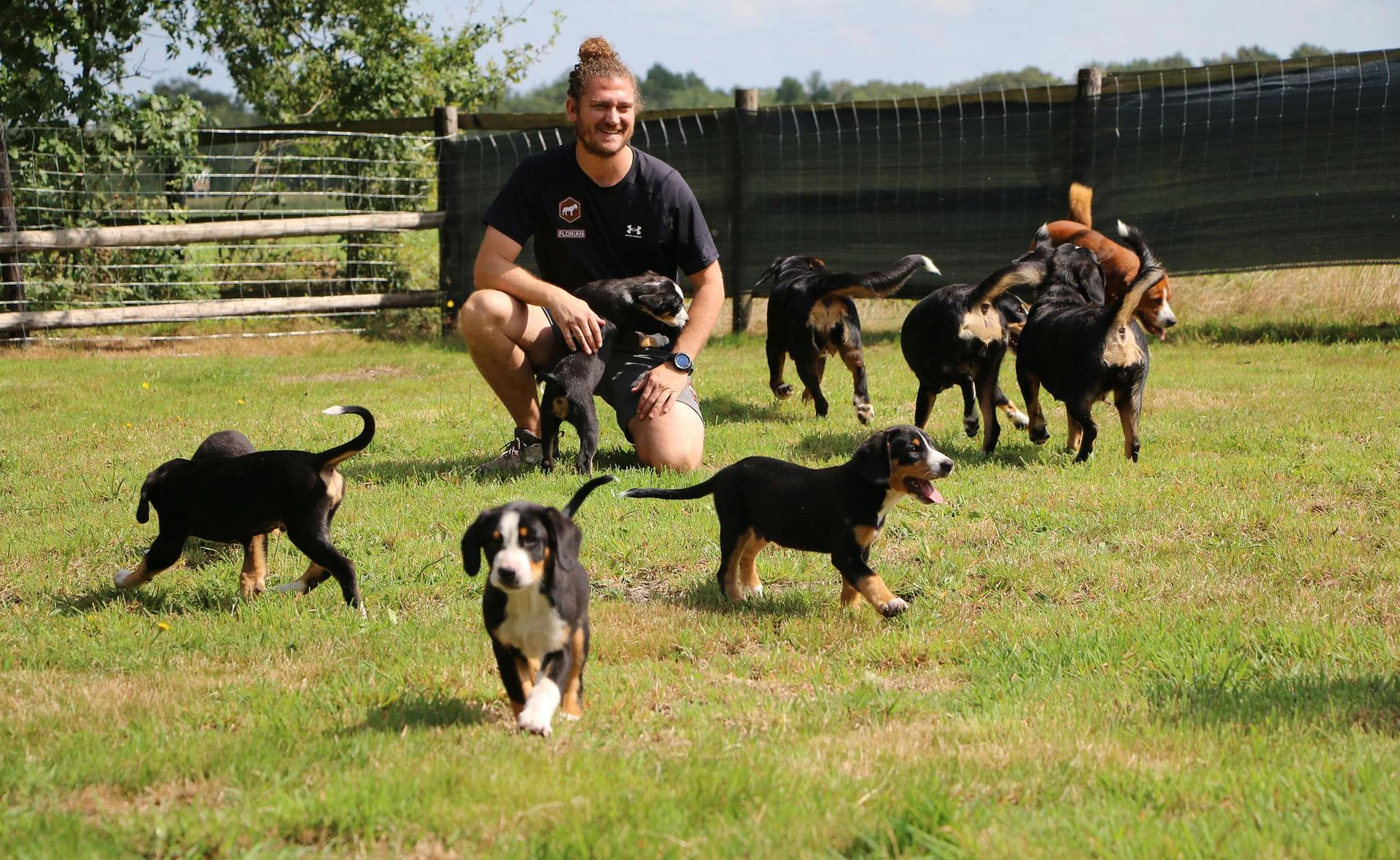 Training van een hond met verlatingsangst bij Difficult Dogs